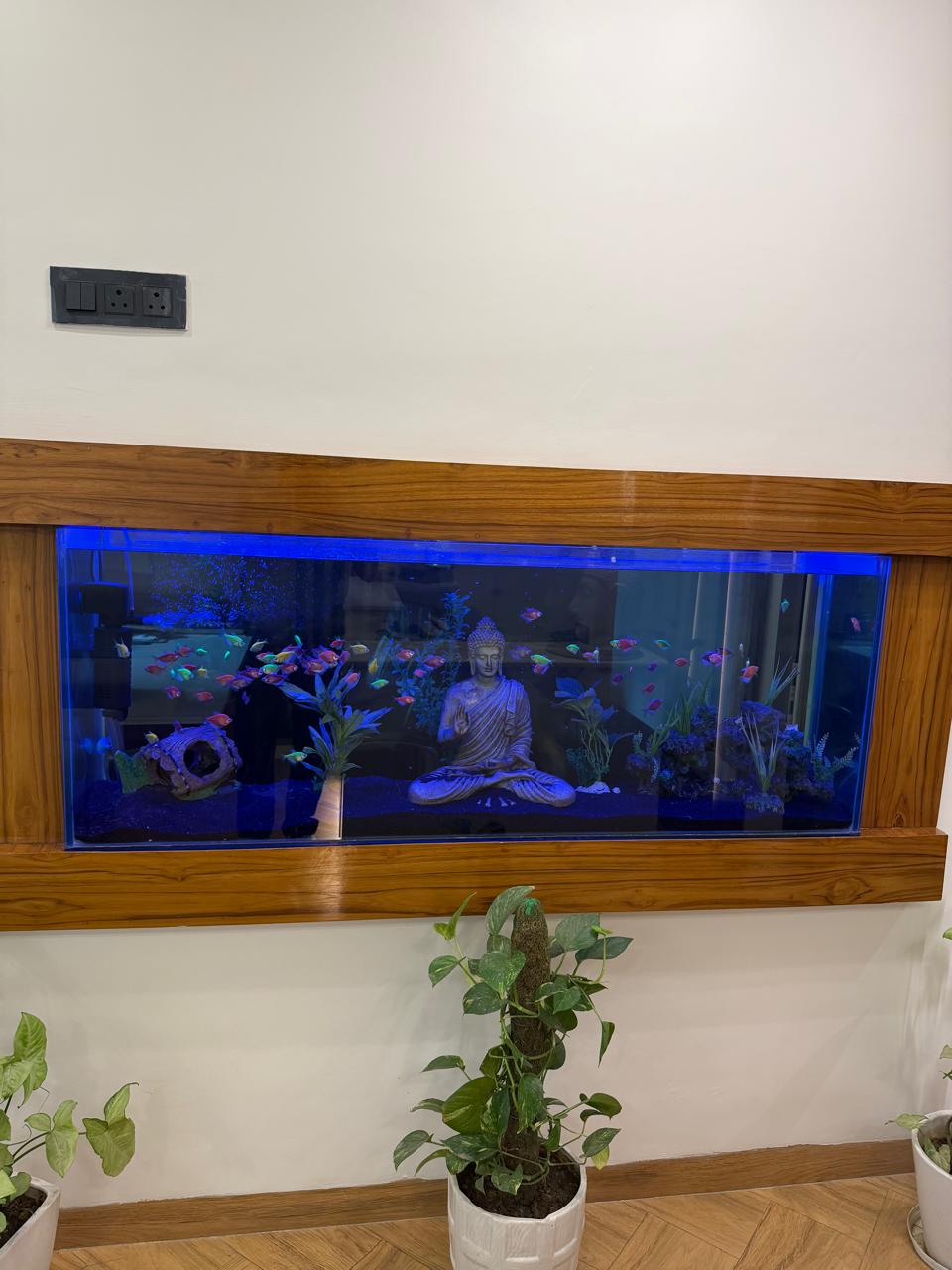 Backlit feature aquarium with Buddha statue creating a calming atmosphere at Poly Dental Clinic Mohali